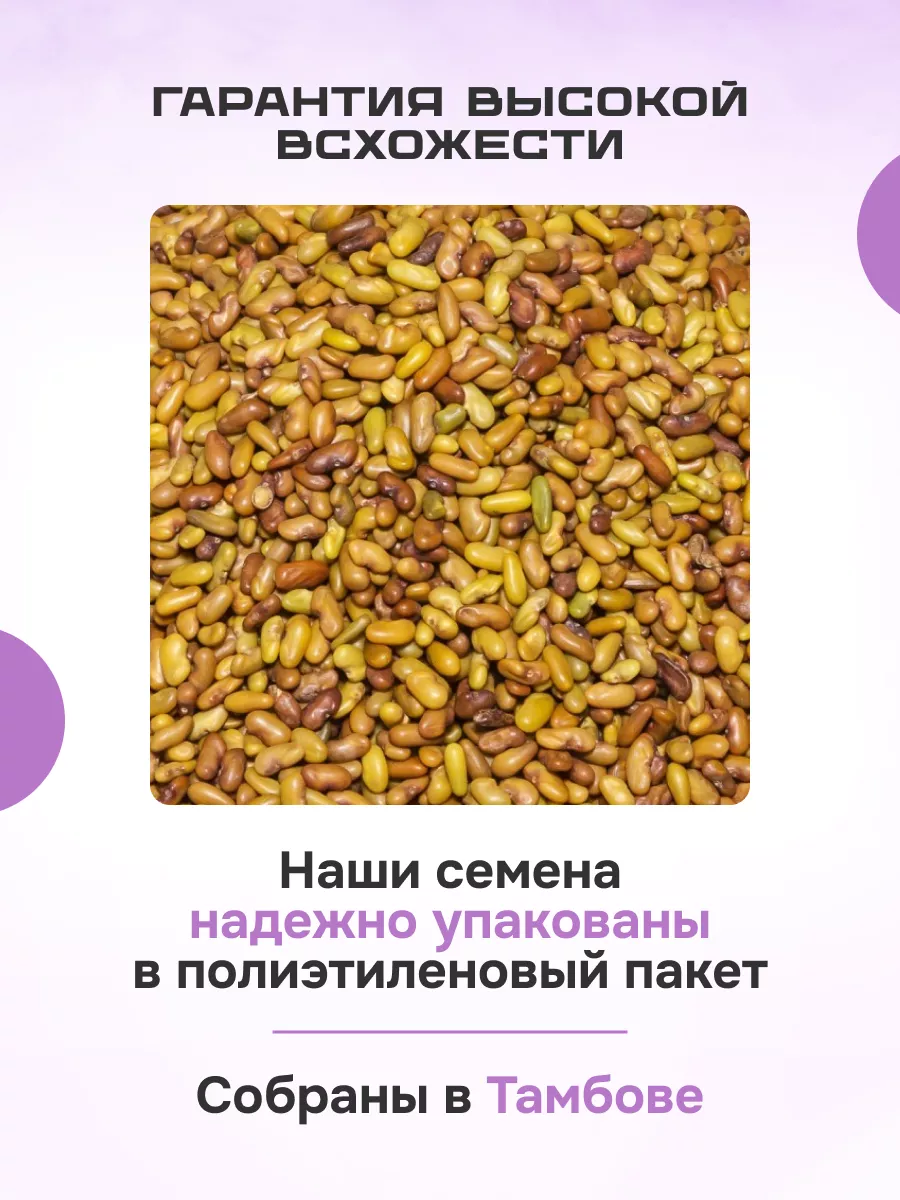 КОЗЛЯТНИК- семена 5 кг. БЕРИМИР 200608816 купить за 1 377 ₽ в  интернет-магазине Wildberries