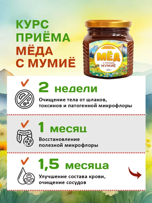 Фабрика Натуральных Продуктов Мед алтайский с мумие 3 банки, 3 шт, фото 3