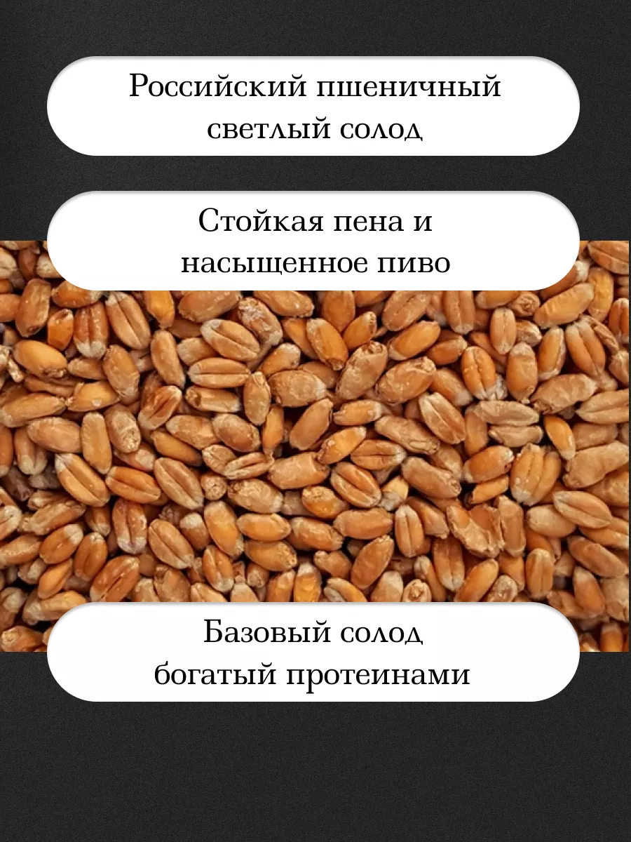 Солод пивоваренный Select Malt 200697924 купить в интернет-магазине  Wildberries