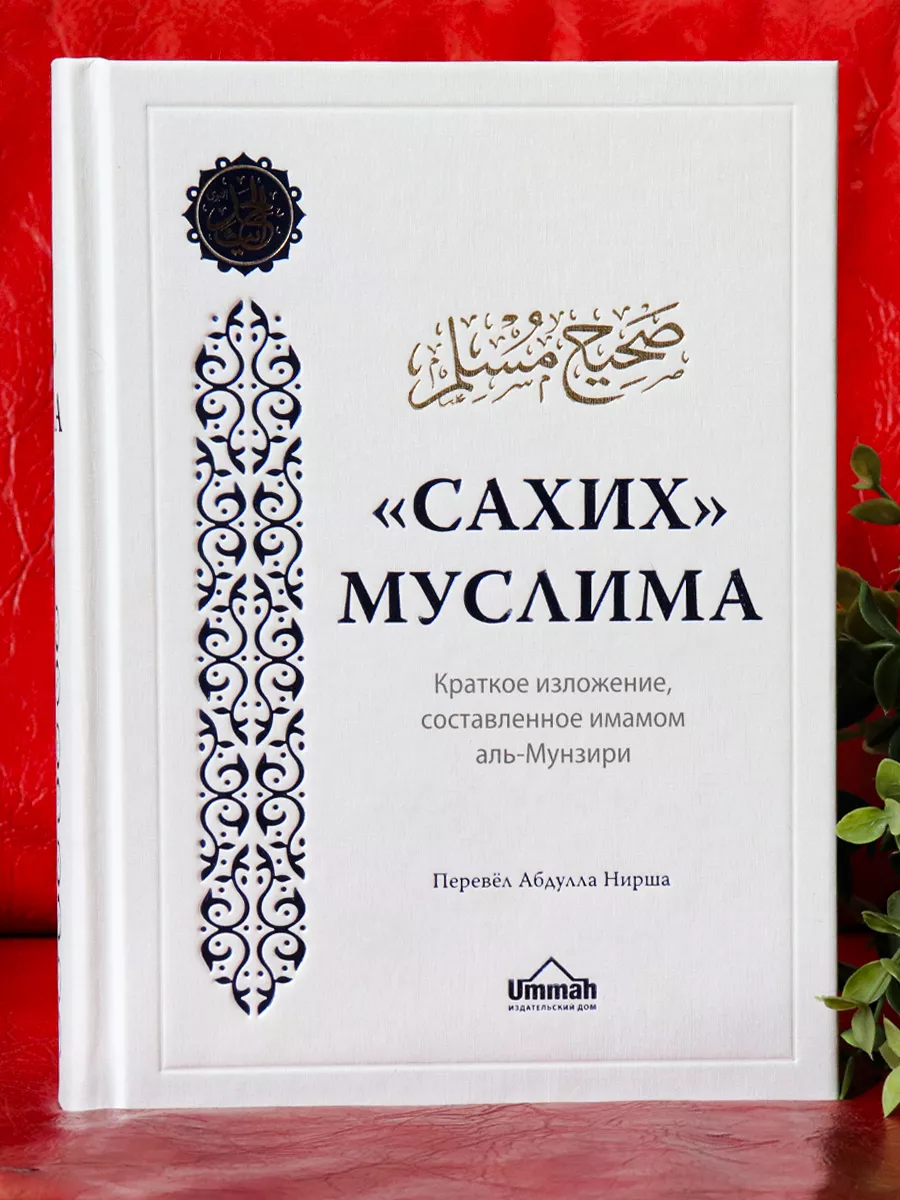 Книга Сахих Муслим Краткое изложение издательство Умма Ummah 200748227  купить за 2 150 ₽ в интернет-магазине Wildberries