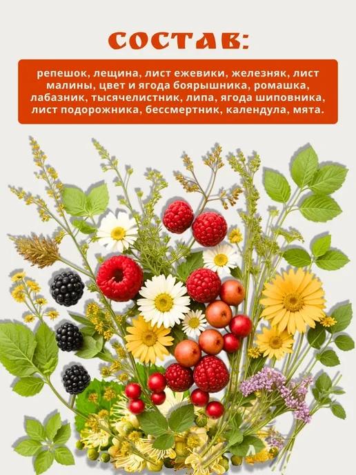 Монастырские Травы Чай из трав для снижения холестерина - сбор, вариант, фото 3