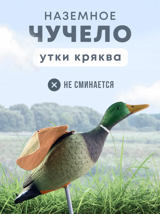 Подсадная утка Mallard летящая на основании селезень, вариант
