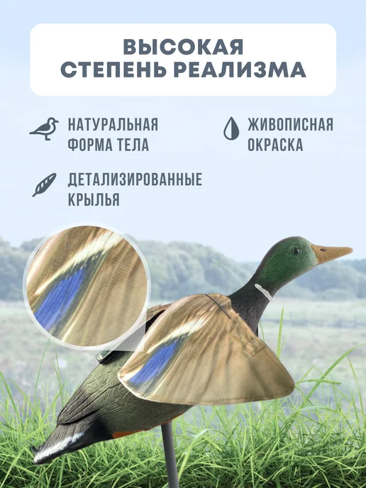 Подсадная утка Mallard летящая на основании селезень, вариант, фото 2
