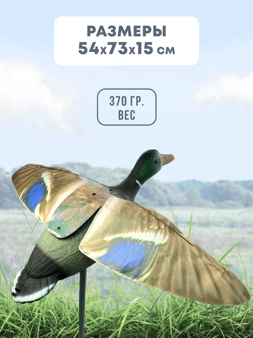 Подсадная утка Mallard летящая на основании селезень, вариант, фото 4
