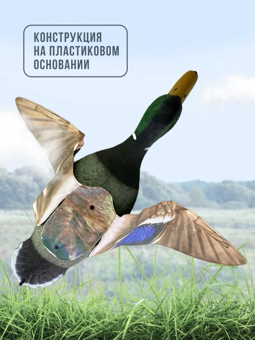 Подсадная утка Mallard летящая на основании селезень, вариант, фото 5