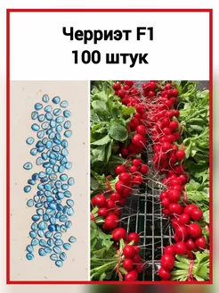 Семена Редис Черриэт F1 Sakata - 100 штук 200947475 купить за 202 ₽ в интернет-магазине Wildberries