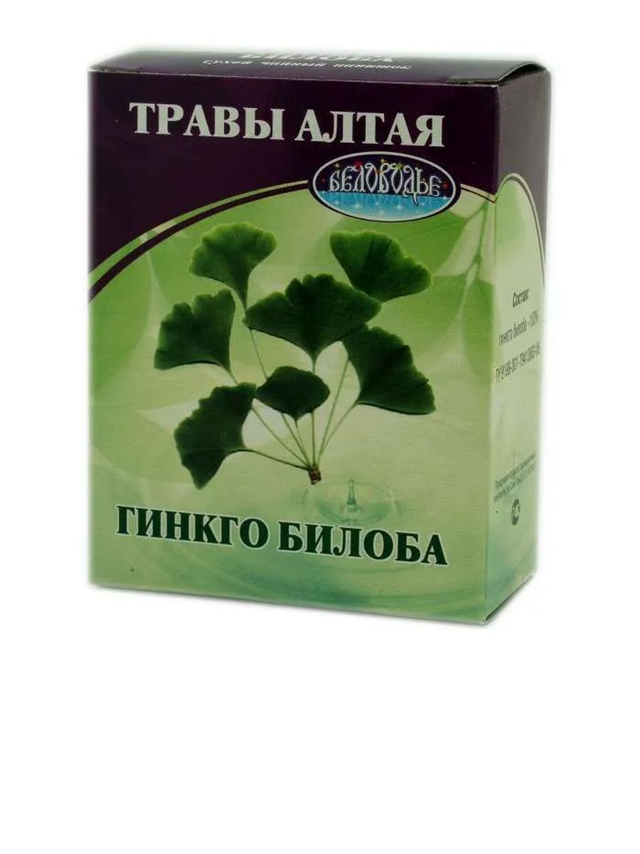 Гинкго билоба купить в аптеке. Гинкго билоба трава. Гинкго билоба растение. Гинкго двулопастный препараты. Гинкго двулопастный (билоба) растение.