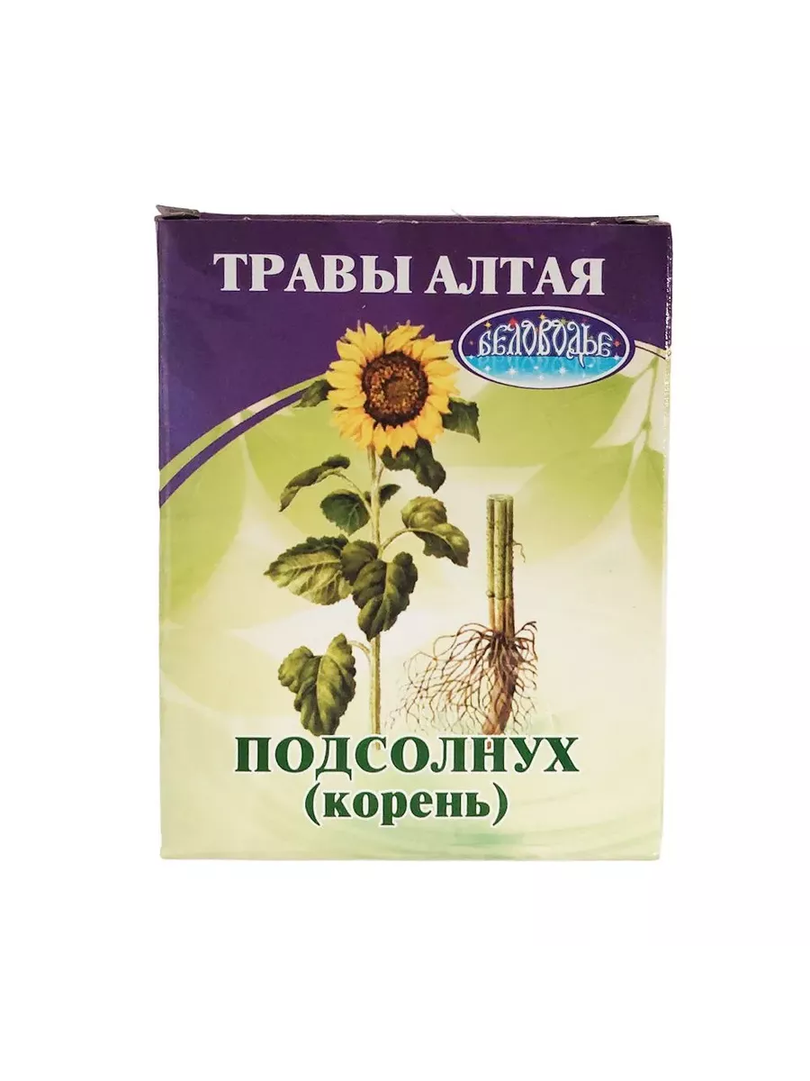 Корень Подсолнуха Купить