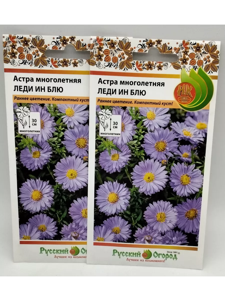 Астра многолетняя Леди Ин...