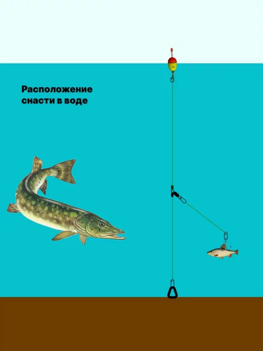 MF_Хобби Снасти на щуку с поплавком для ловли на живца оснастка, зеленый, фото 3