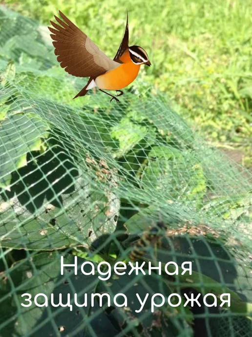 Sepi Сетка шпалерная от птиц мелкая для капусты и винограда, зеленый, фото 3