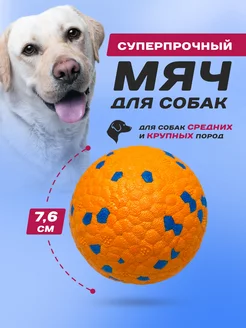 Игрушка для собак мяч суперпрочный Purrfect Place 201070095 купить за 287 ₽ в интернет-магазине Wildberries