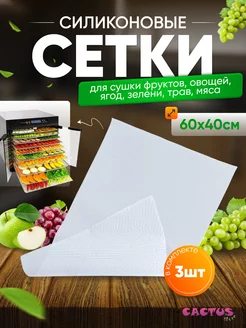 Сетчатые поддоны для дегидратора CACTUS store 201077999 купить за 359 ₽ в интернет-магазине Wildberries