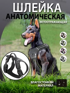 Шлейка для собак NicePets 201094966 купить за 950 ₽ в интернет-магазине Wildberries