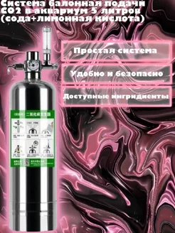 Система баллонная подачи СО2 в аквариум 5 л лимонка Macro aqua 201106159 купить за 11 260 ₽ в интернет-магазине Wildberries