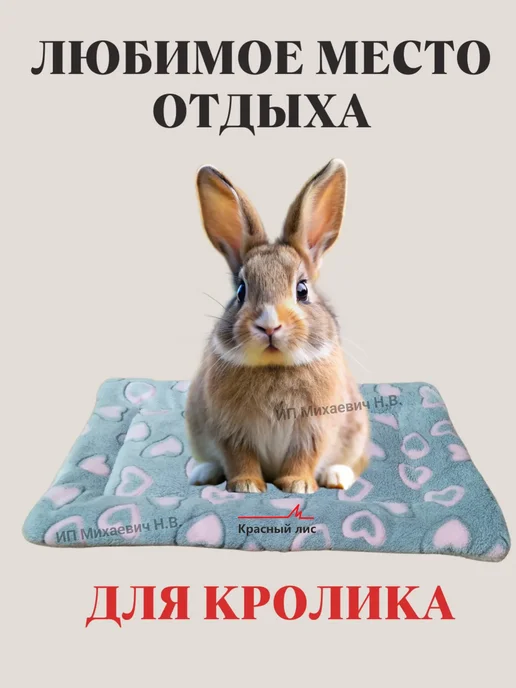 Красный лис Лежанка подстилка для животных 30х40, 30x40, фото 5
