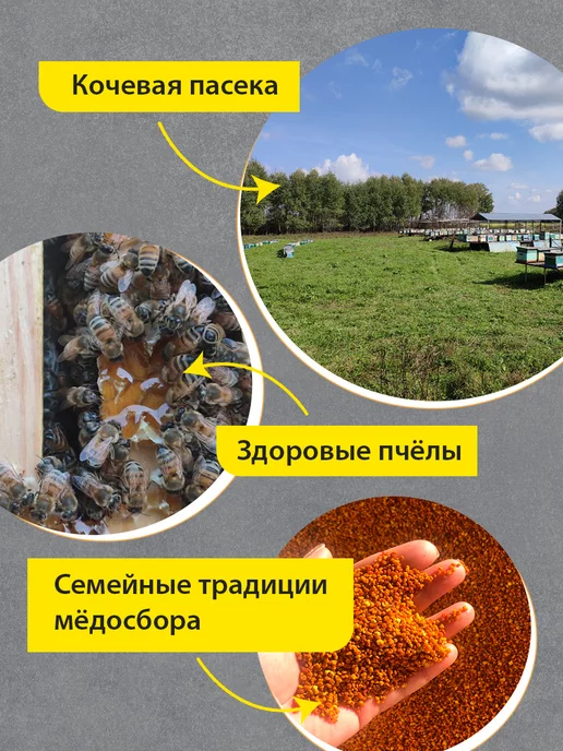 Пасека КФХ Сериков П.П. Мед натуральный (таежный) 1,5кг, 1,5 кг, фото 3