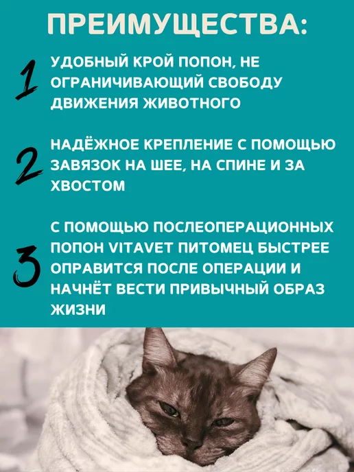VitaVet Попона однослойная для кошек 5-8 кг, размер 2, 58 кг, фото 2
