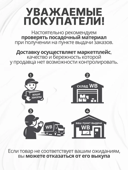 голландский лук Лук севок для посадки под зиму на репку Геркулес, вариант, фото 5