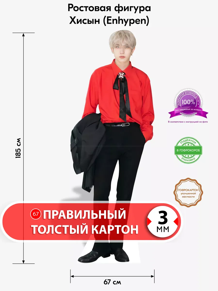 Хисын 2 (Enhypen) ростовая фигура