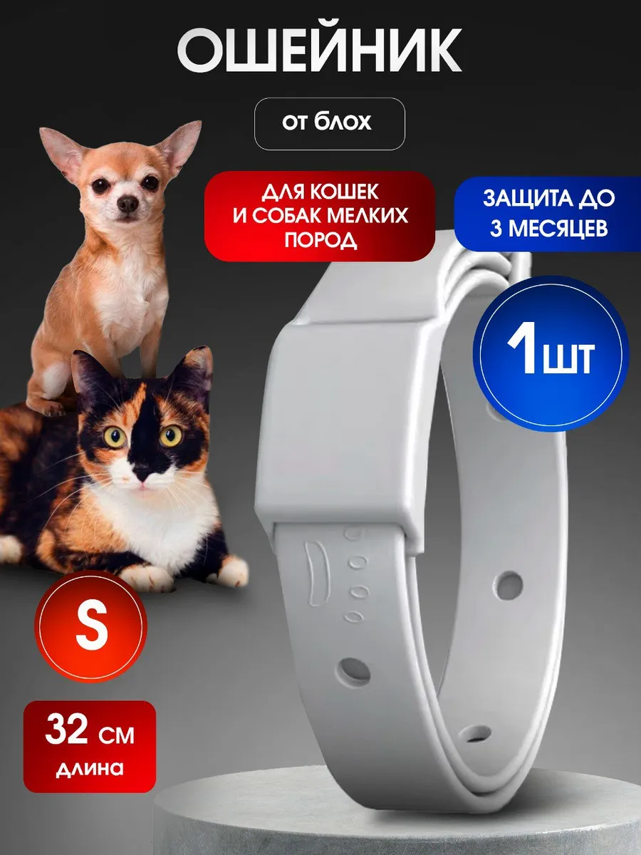 Ошейник от блох для кошек