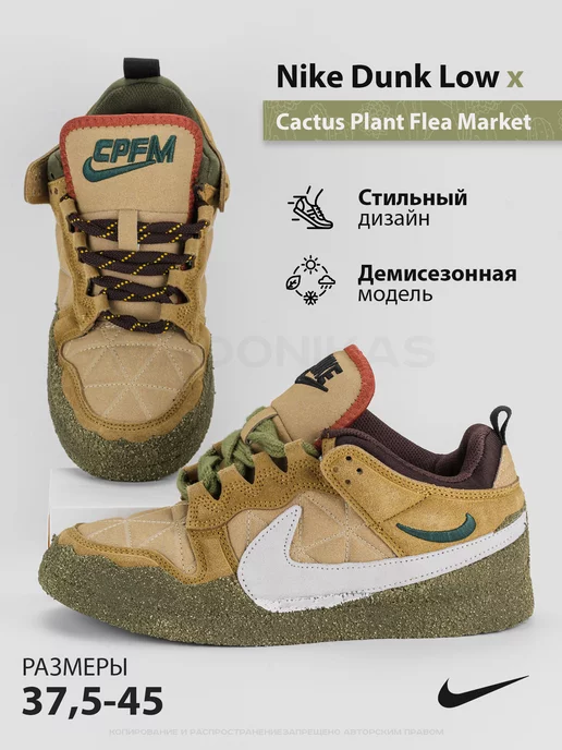 Cactus plant air clearance max