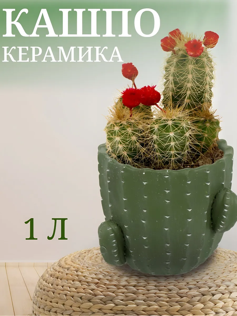 Кашпо керамика, 1 л, 14х12х14 см для комнатных растений