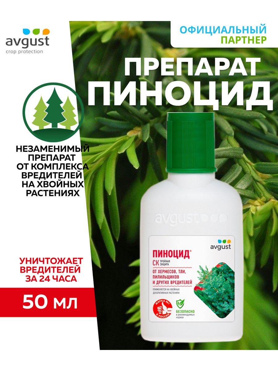 Пиноцид препарат для хвойных. Пиноцид 50мл август. Пиноцид 50 мл.. Пиноцид 2 мл (от вредителей на хвойных) август. Препарат Пиноцид для хвойных.