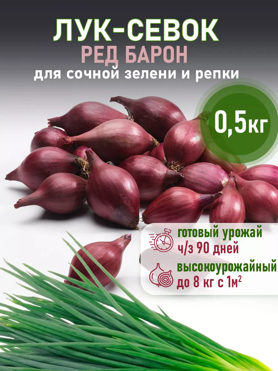 Лук севок красный на посадку Ред Барон 0,5 кг кармен 201413348 купить в  интернет-магазине Wildberries