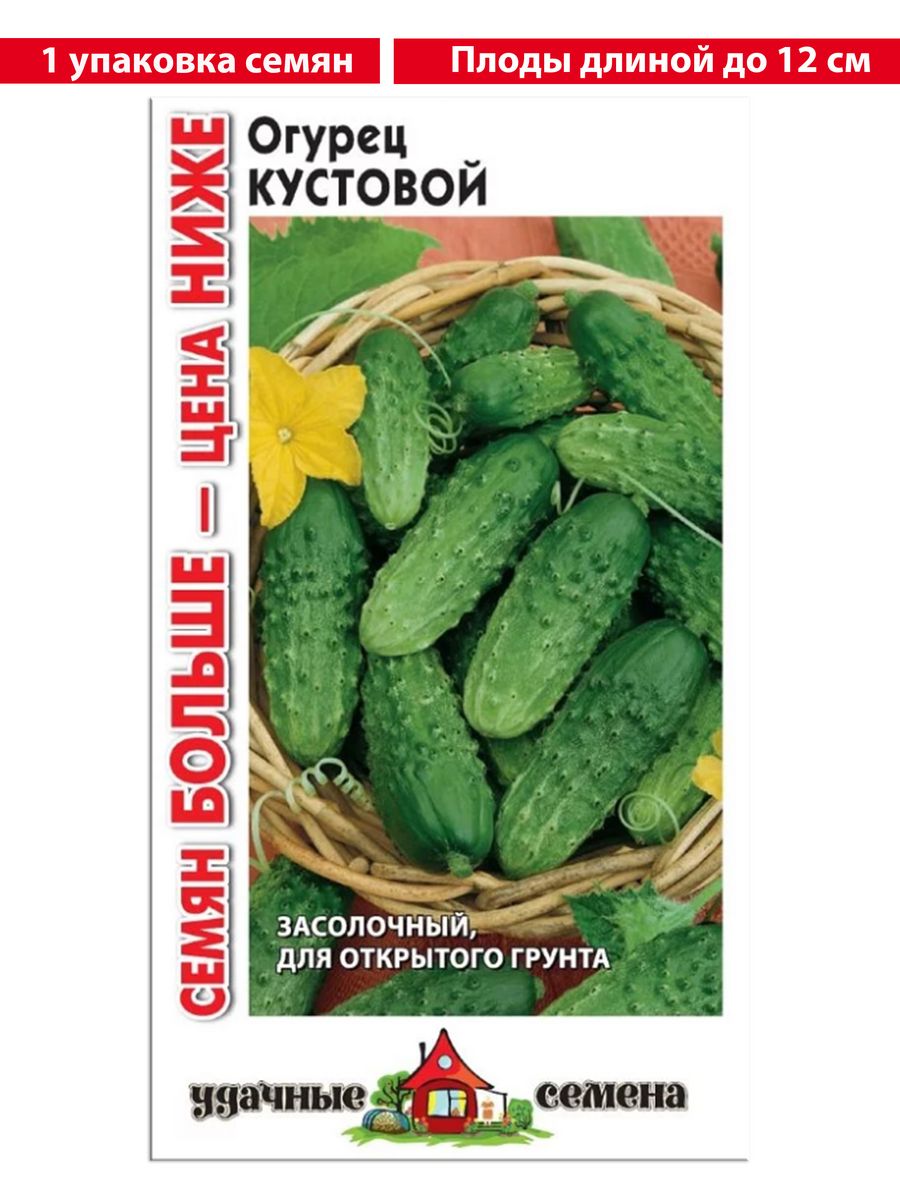 Хорошие кустовые огурцы