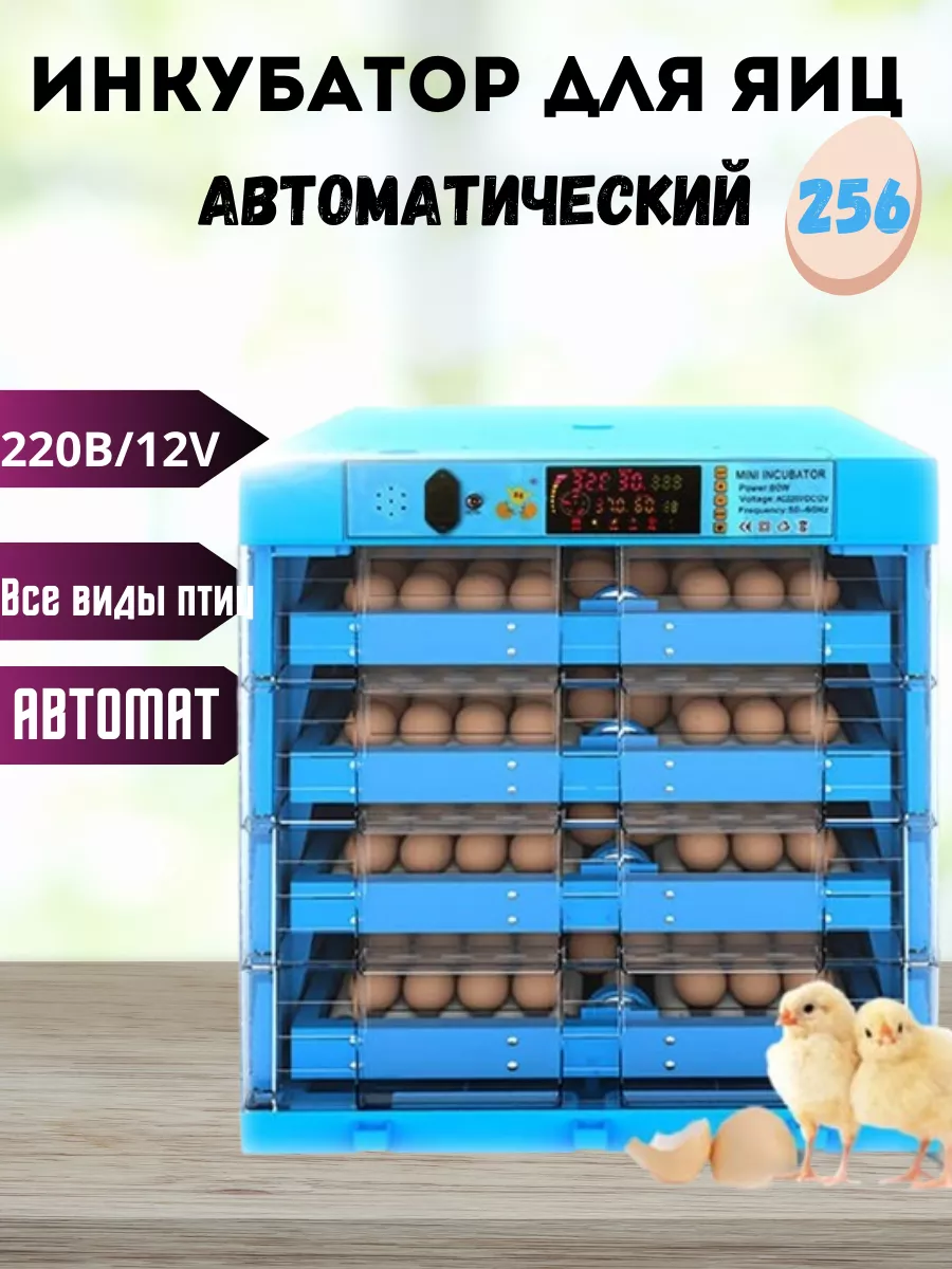 Инкубатор для яиц 256 куриных MyFarm 201435509 купить в интернет-магазине  Wildberries