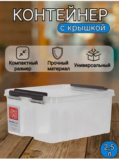 Контейнер для хранения пластиковый с крышкой 2,5 литра Rox Box 201550399 купить за 353 ₽ в интернет-магазине Wildberries