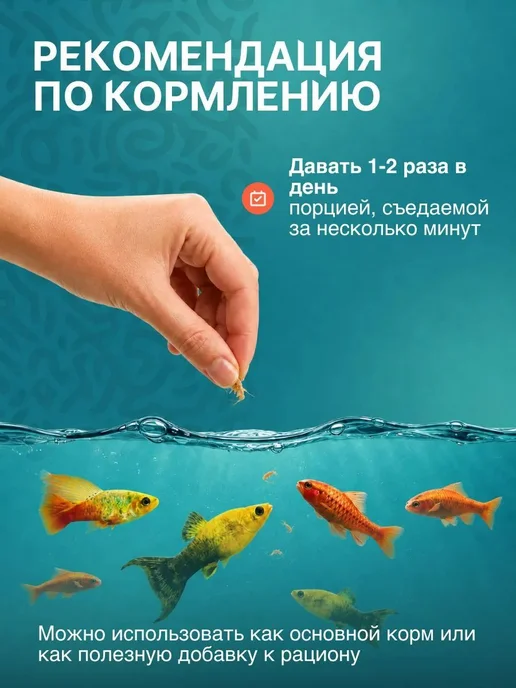 Сибирская Креветка Корм для рыб и рептилий гаммарус 2 л, 2 л, фото 5