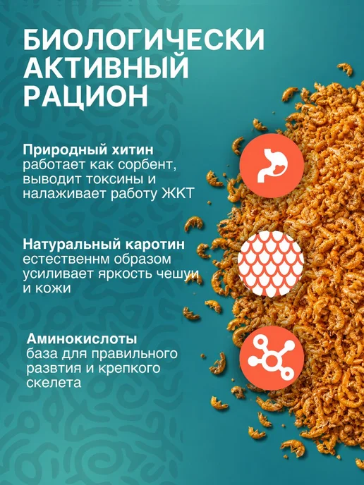 Сибирская Креветка Корм для рыб и рептилий гаммарус 2 л, 2 л, фото 6