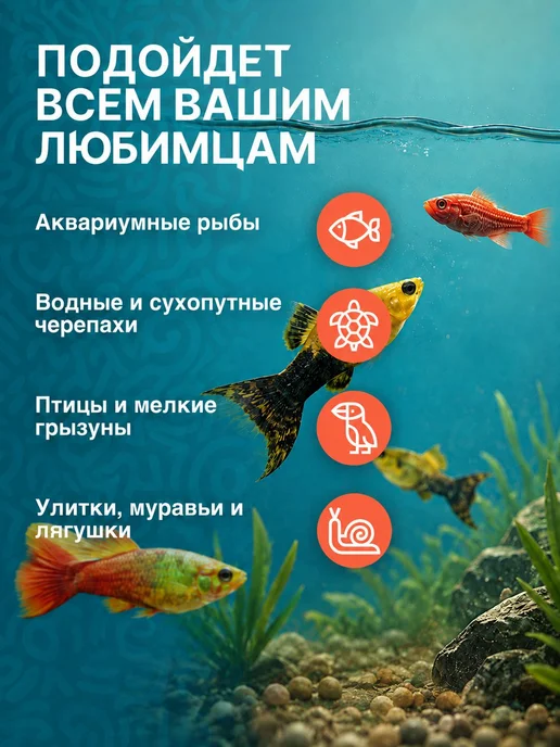 Сибирская Креветка Корм для рыб и рептилий гаммарус 2 л, 2 л, фото 7