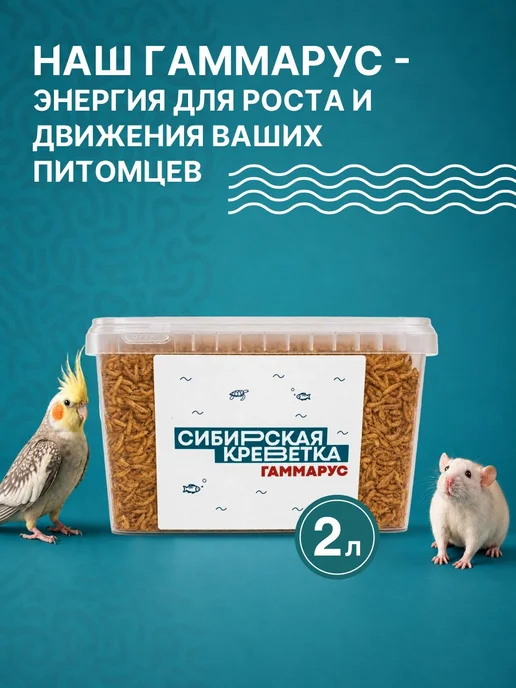 Сибирская Креветка Корм для рыб и рептилий гаммарус 2 л, 2 л, фото 8