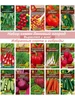 Семена овощей АЭЛИТА 201648299 купить за 386 ₽ в интернет‑магазине Wildberries
