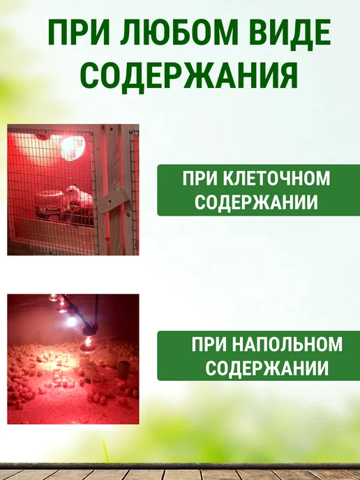 Подворье Лампа инфракрасная 100 Вт для обогрева цыплят - 2 шт, 100 Вт, 2 шт, фото 3