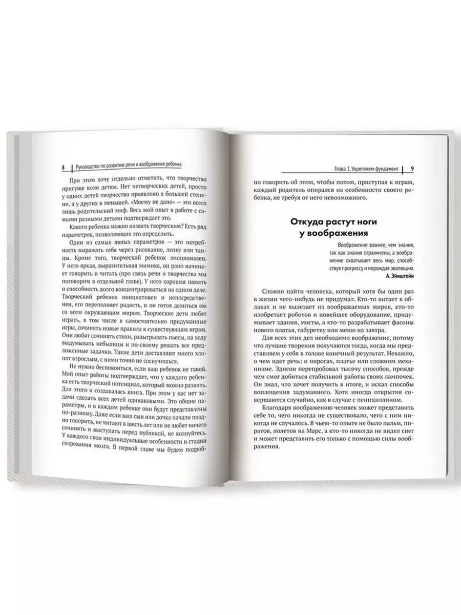 Руководство по развитию речи и воображения ребенка Издательство Феникс  201760397 купить за 502 ₽ в интернет-магазине Wildberries