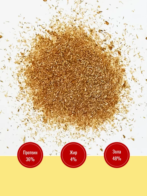 MANGRA exotic Корм сухой PROTEIN X5 Гаммарус измельчен 250 мл для черепах, 250 мл, фото 2