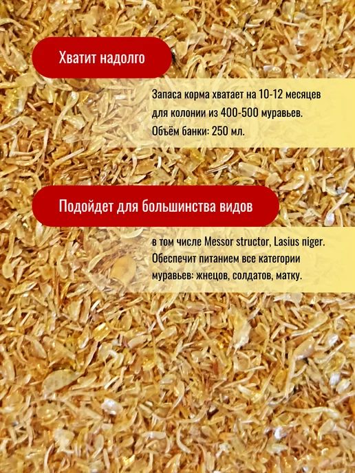 MANGRA exotic Корм сухой PROTEIN X5 Гаммарус измельчен 250 мл для черепах, 250 мл, фото 3