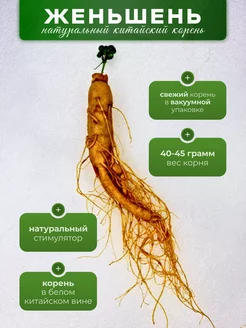 Корень женьшень в вакуумной упаковке - 1 шт. 201840416 купить за 625 ₽ в интернет-магазине Wildberries