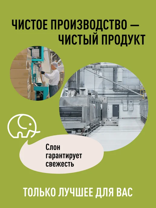 Зеленый слон Смесь семян для салатов 1кг, 1 кг, фото 4