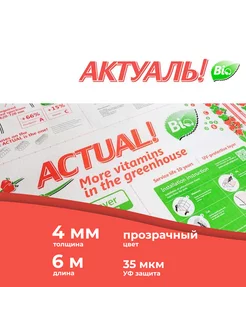 Сотовый поликарбонат для теплиц, толщина 4 мм, длина 6 м ACTUAL! 201882801 купить за 4 099 ₽ в интернет-магазине Wildberries