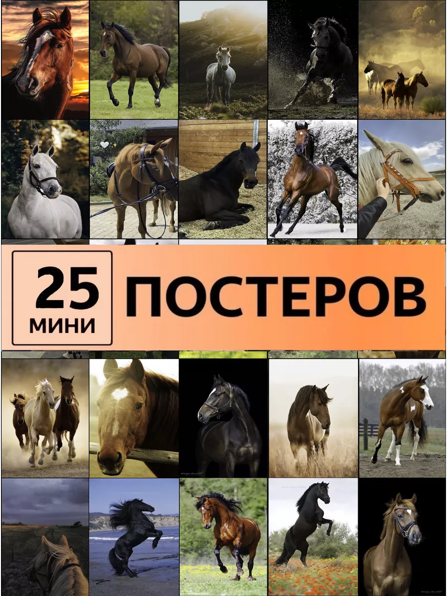 Лошадь символ 2026 года постеры с лошадьми