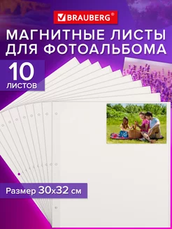 Дополнительные листы в фотоальбом магнитные набор 10 шт Brauberg 201907142 купить за 322 ₽ в интернет-магазине Wildberries