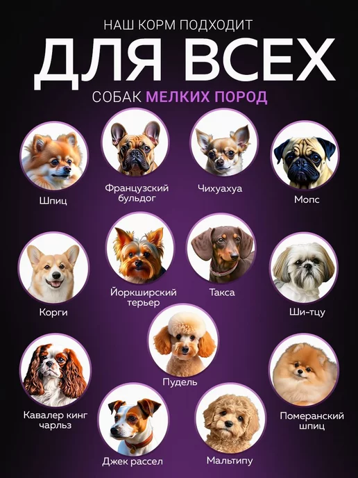 Сухой корм BUDDY DINNER Подарок для собак, говядина, 3 кг, фото 3