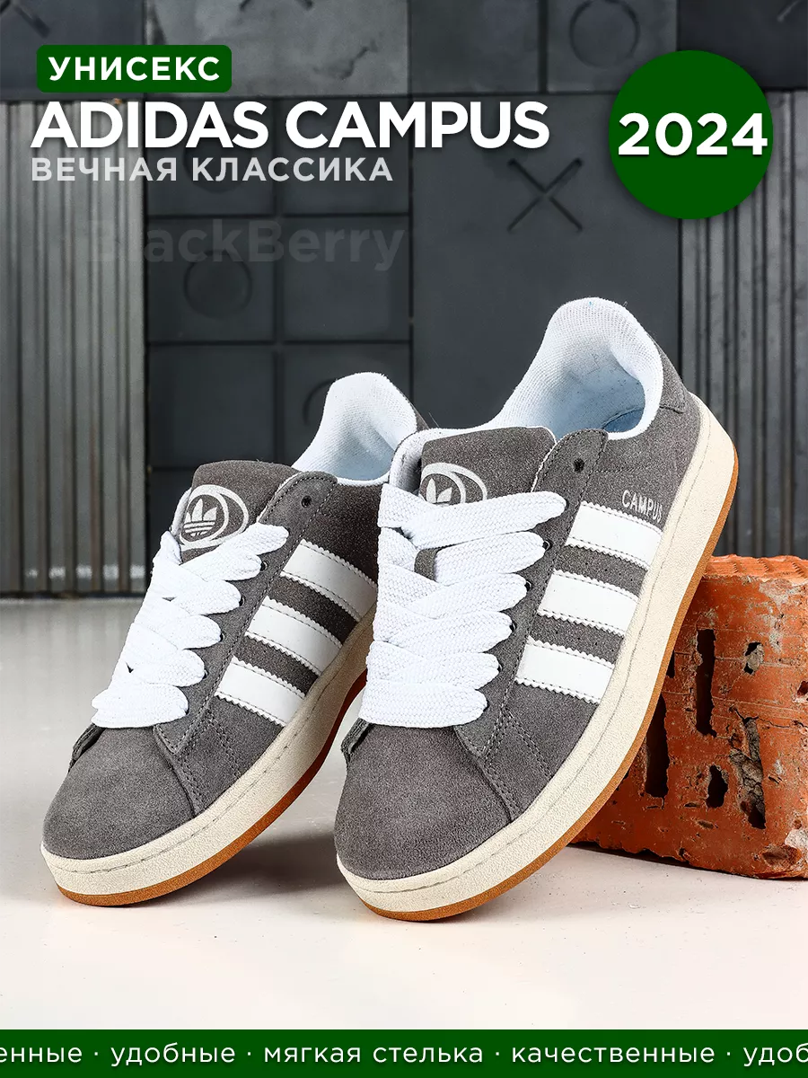 Adidas campus evolution online