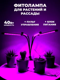 Фитолампа для растений полного спектра Pulsar62 201940348 купить за 609 ₽ в интернет-магазине Wildberries