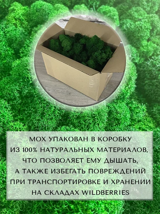Spirit & Nature Мох ягель стабилизированный для творчества 0,3кг, 300 г, фото 7